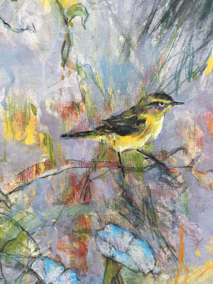 Birds paintings